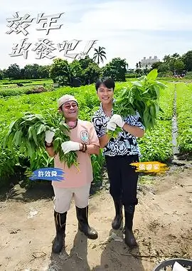 城市漫游者慢综艺在线观看
